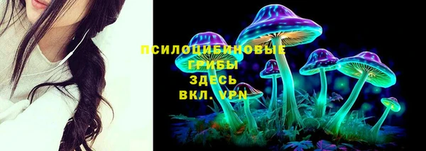 стаф Баксан