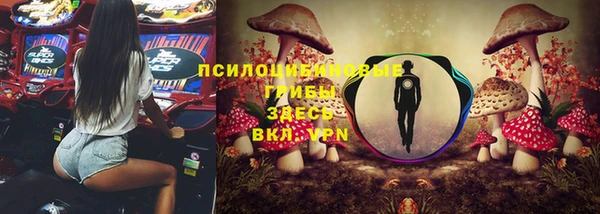 стаф Баксан