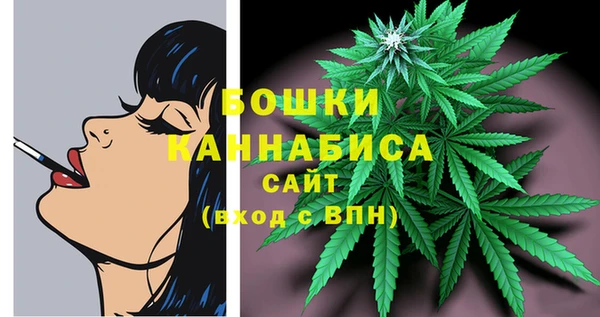 гашик Россошь
